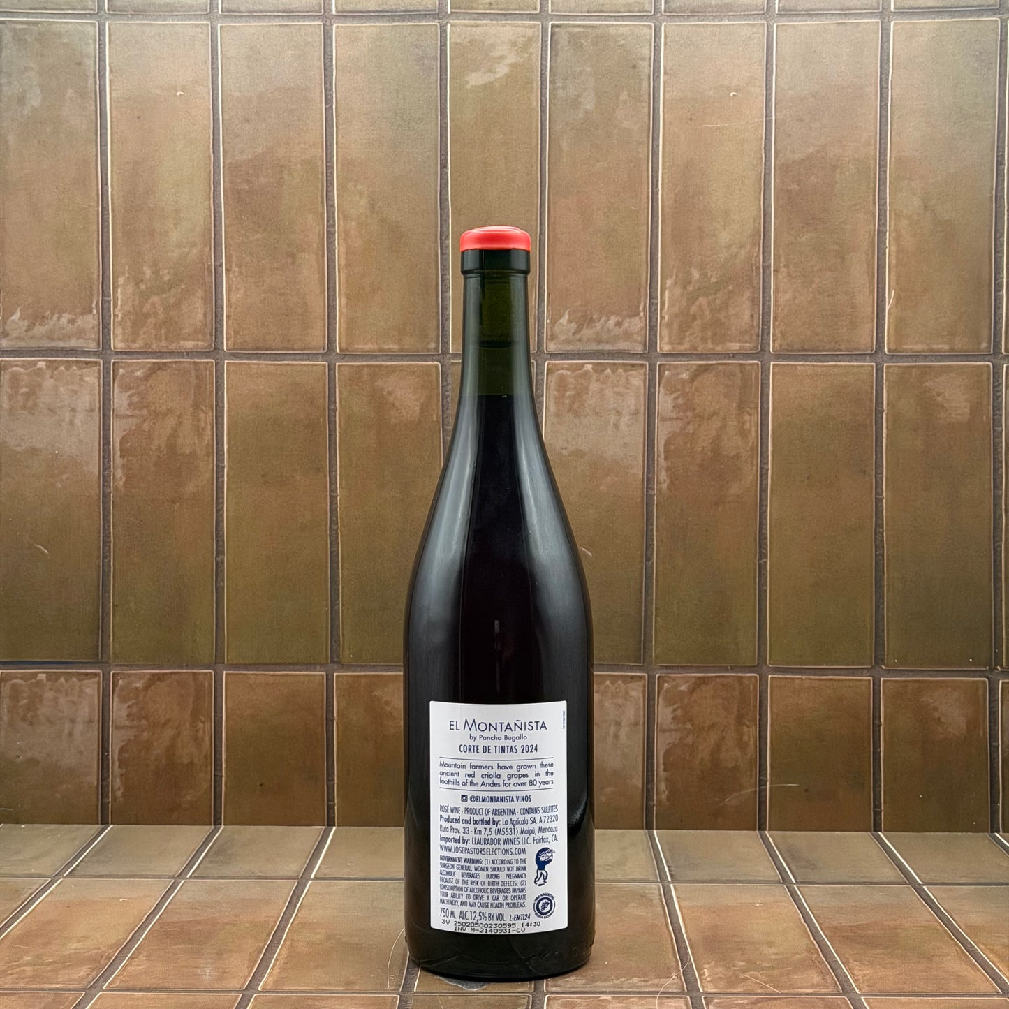 El Montanista, 'Corte de Tintas', Calingasta Valley, Argentina, Red Blend 2024