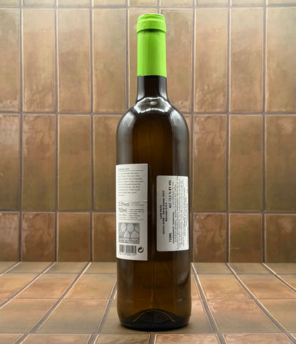 Luis Pato, Bairrada, Portugal, Maria Gomes 2024