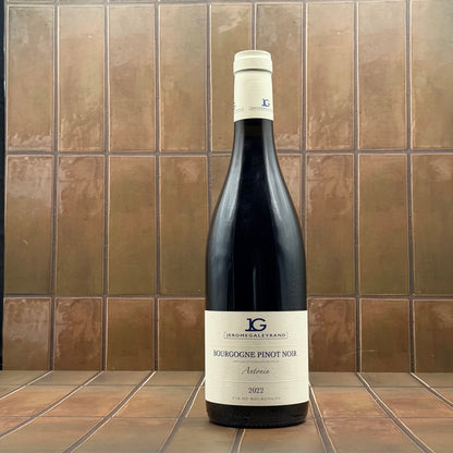 Galeyrand, 'Antonin', Burgundy, France, Pinot Noir, 2022