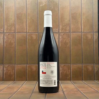 Clos des Fous 'Mr. Chile', Valle del Maipo, Chile, Pais 2022