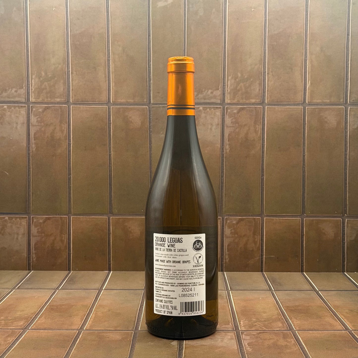 Dominio de Punctum, '20,000 Leguas', Tierra de Castilla, Spain 2024