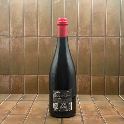Raguzzoni, 'Filare di Mezzo', Modena, Italy, Lambrusco Oliva 2023