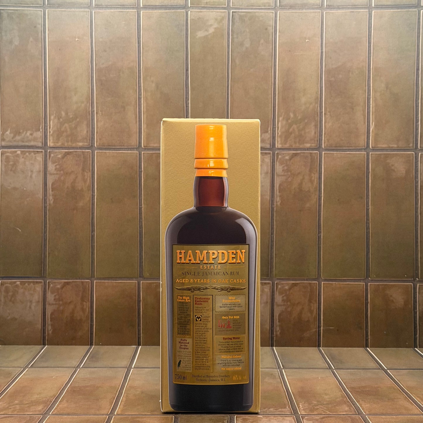 Hampden 8 Year