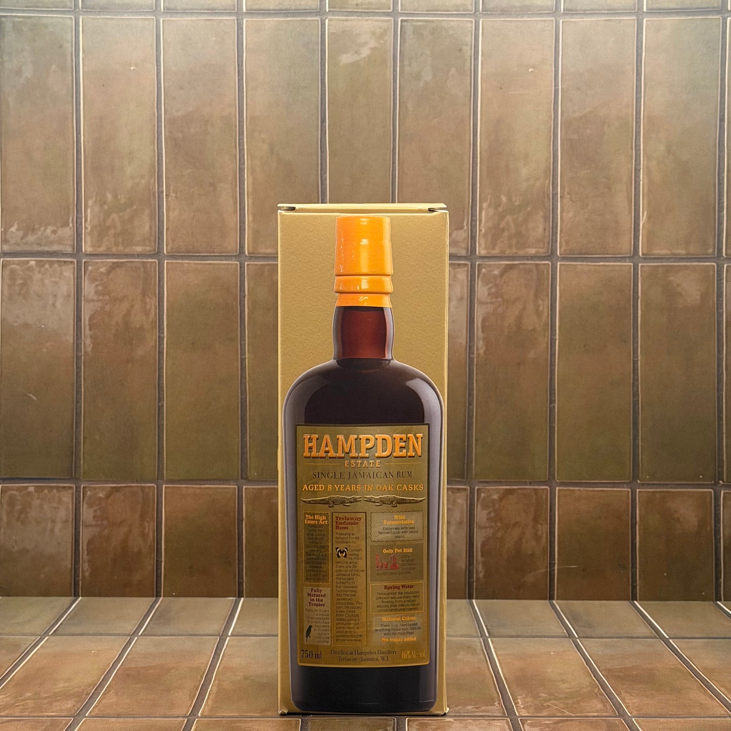 Hampden 8 Year