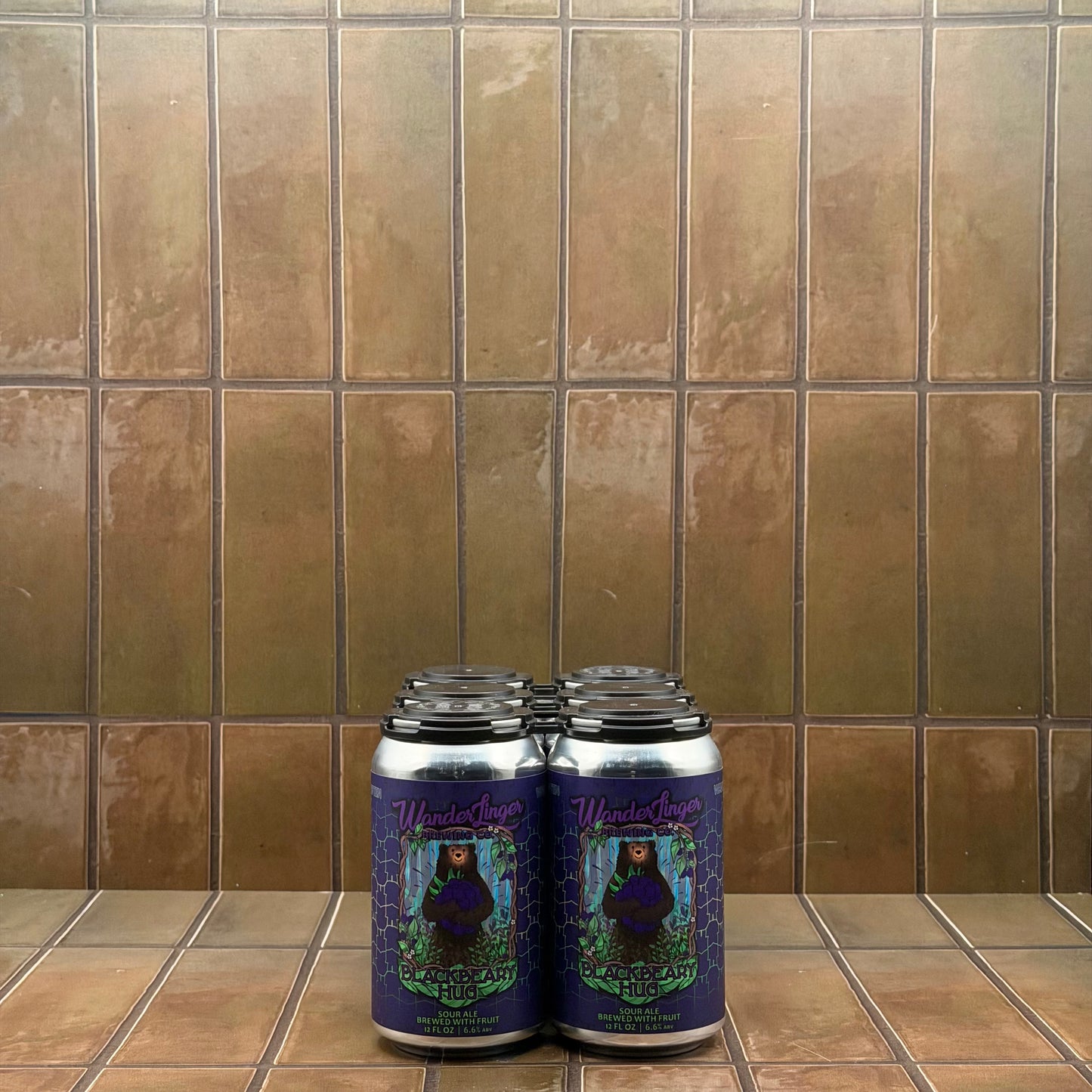 Wanderlinger Brewing Co. Blackbeary Hug Sour Ale, 6 pack
