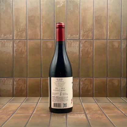 Rojac, 'Refosk', Istra, Slovenia, Refosco, 2022