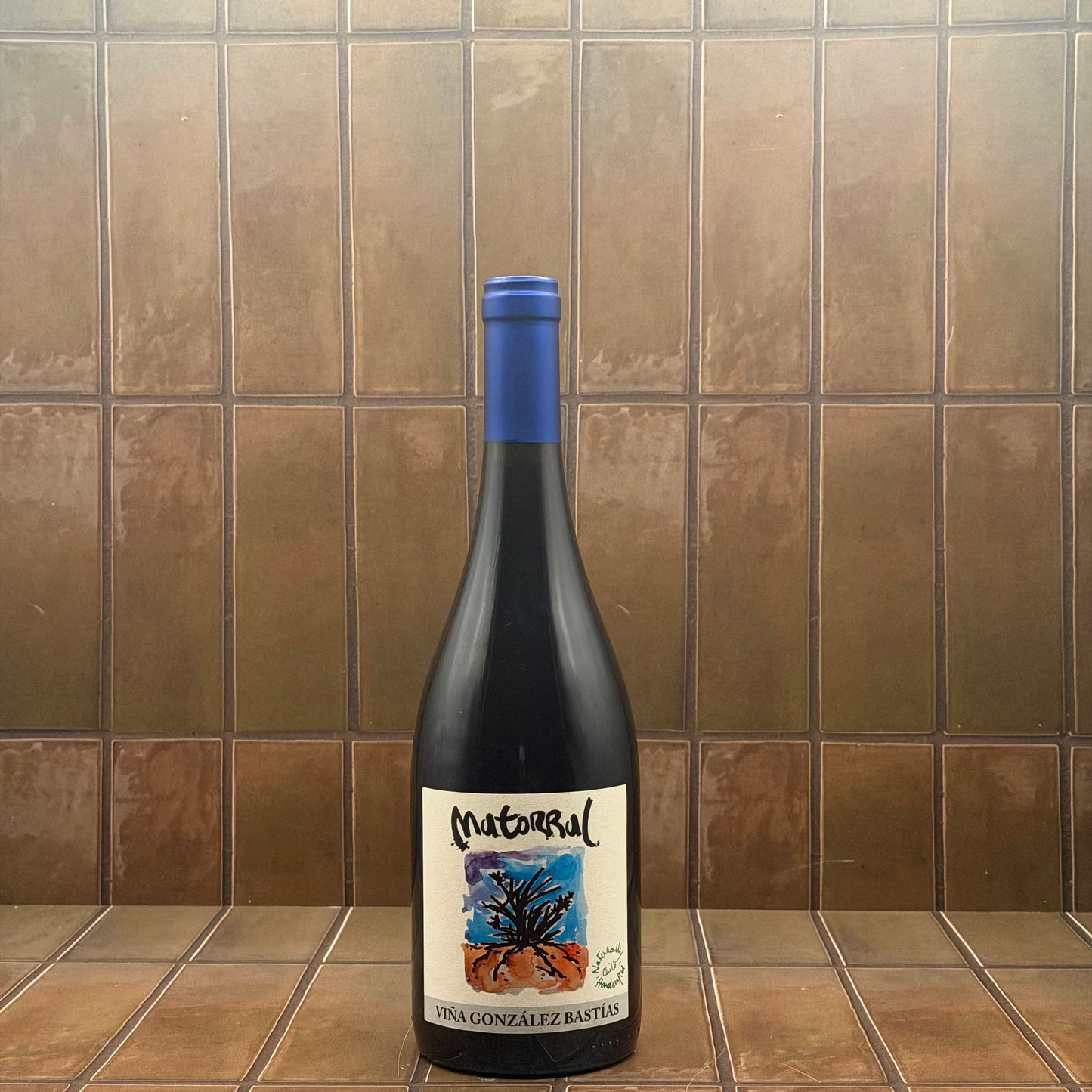 Gonzaleaz Bastias, 'Matorral', Valle del Maule, Pais 2020