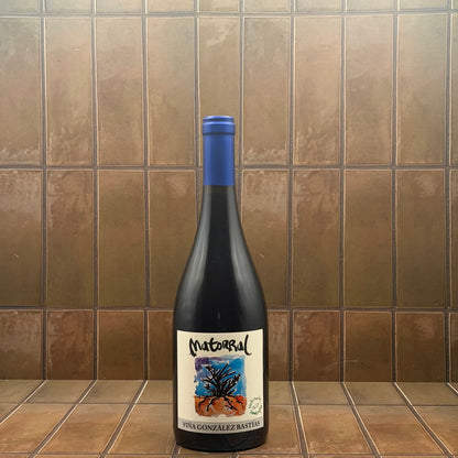 Gonzaleaz Bastias, 'Matorral', Valle del Maule, Pais 2020