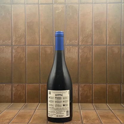 Gonzaleaz Bastias, 'Matorral', Valle del Maule, Pais 2020