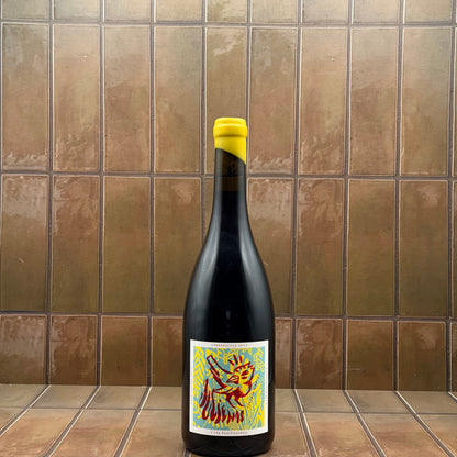 Domaine Cabissou, 'Les Fouillouses' Julienas, Beaujolais, Gamay, 2023