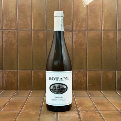 Botani 'Moscatel Old Vines', Sierras de Malaga, Andalucia, Spain, 2024