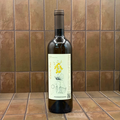 Ficomontanino, 'Zacinta Revi', Tuscany, Italy, Sauvignon Blanc Blend 2024