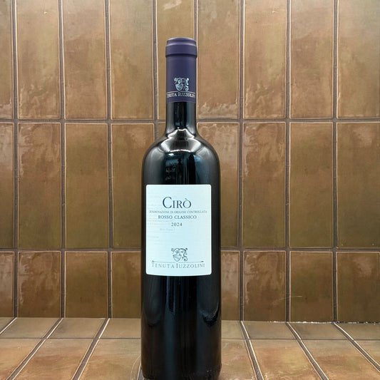 Tenuta iuzzolini, Ciro, Calabria, Italy, Gaglioppo 2024