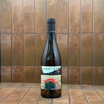 Lampyres, 'H20', Roussilon, France, Grenache Blanc Blend 2025